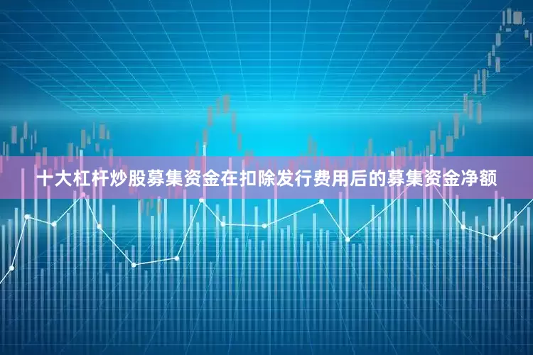 十大杠杆炒股募集资金在扣除发行费用后的募集资金净额