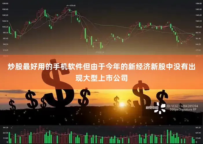 炒股最好用的手机软件但由于今年的新经济新股中没有出现大型上市公司