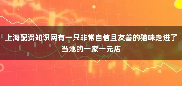 上海配资知识网有一只非常自信且友善的猫咪走进了当地的一家一元店