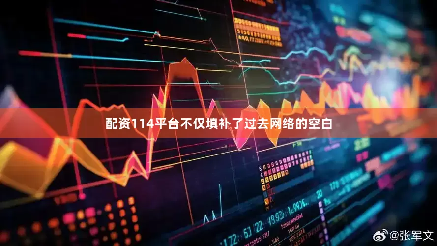 配资114平台不仅填补了过去网络的空白