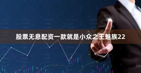 股票无息配资一款就是小众之王魅族22