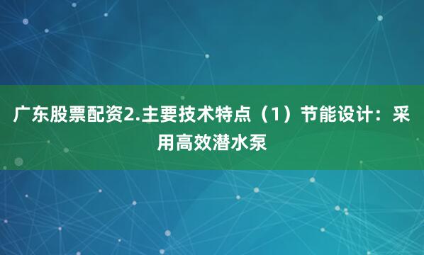 广东股票配资2.主要技术特点（1）节能设计：采用高效潜水泵